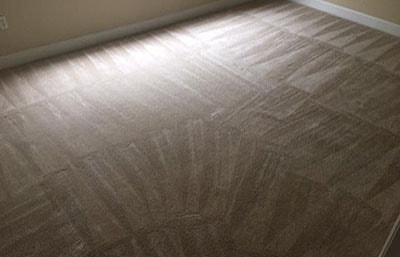 cleaned carpet in bedroom