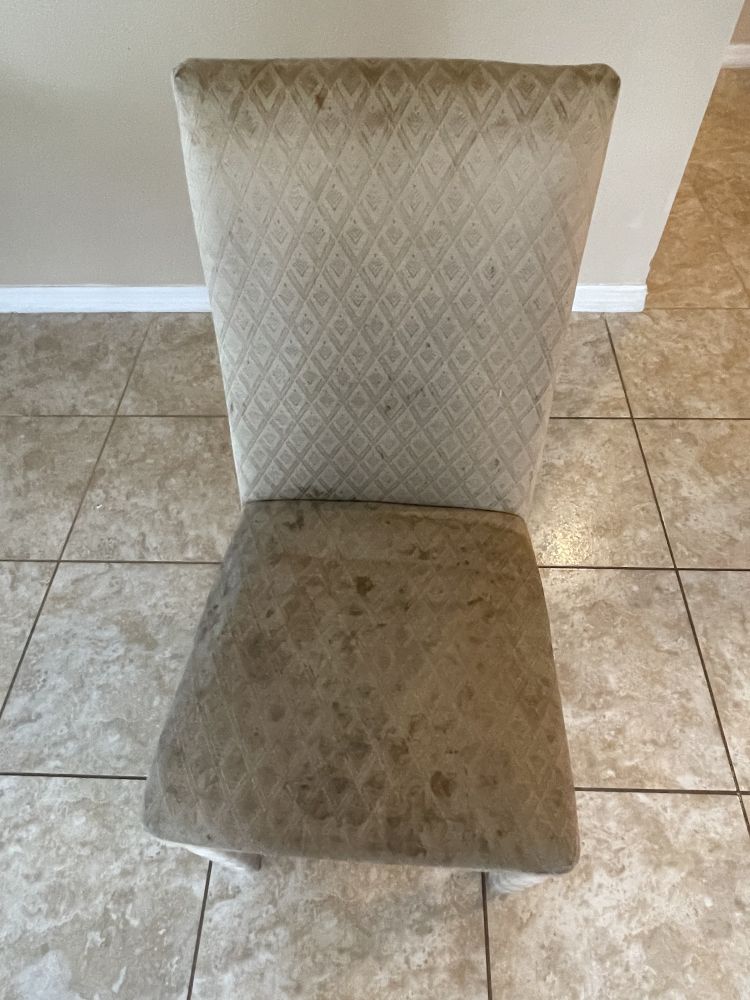 before upholstery cleaning