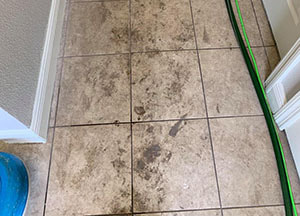 dirty tile and grout before cleaning