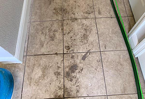 dirty tile and grout before professional cleaning
