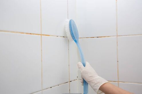 Cleaner Tile and Grout in the Shower