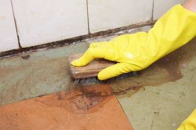 scrubbing bathroom tile cleaning
