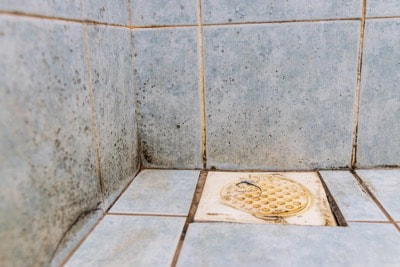Tile Grout After Water Damage